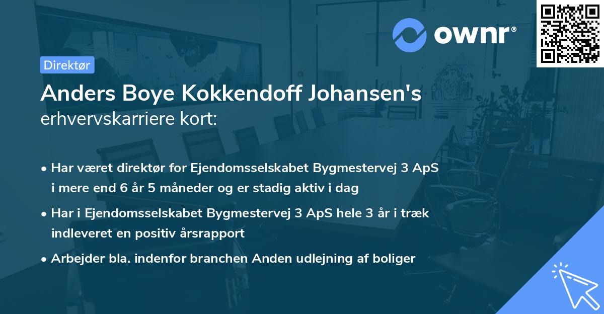 Anders Boye Kokkendoff Johansen's erhvervskarriere kort