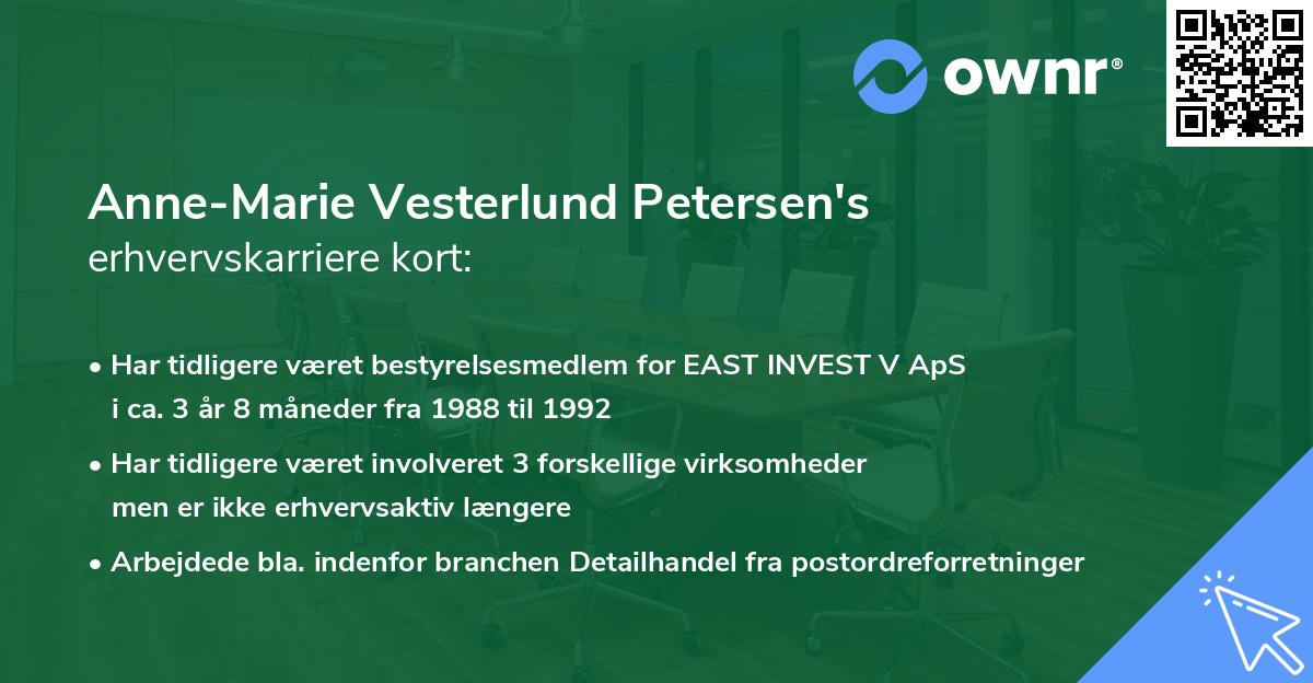 Anne-Marie Vesterlund Petersen's erhvervskarriere kort