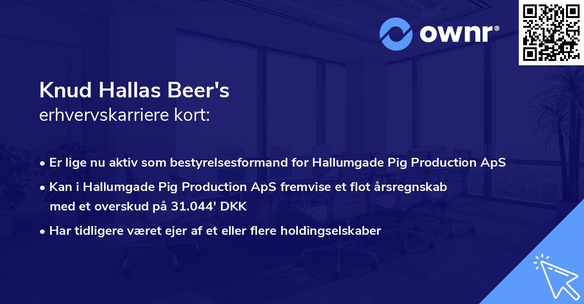 Knud Hallas Beer's erhvervskarriere kort