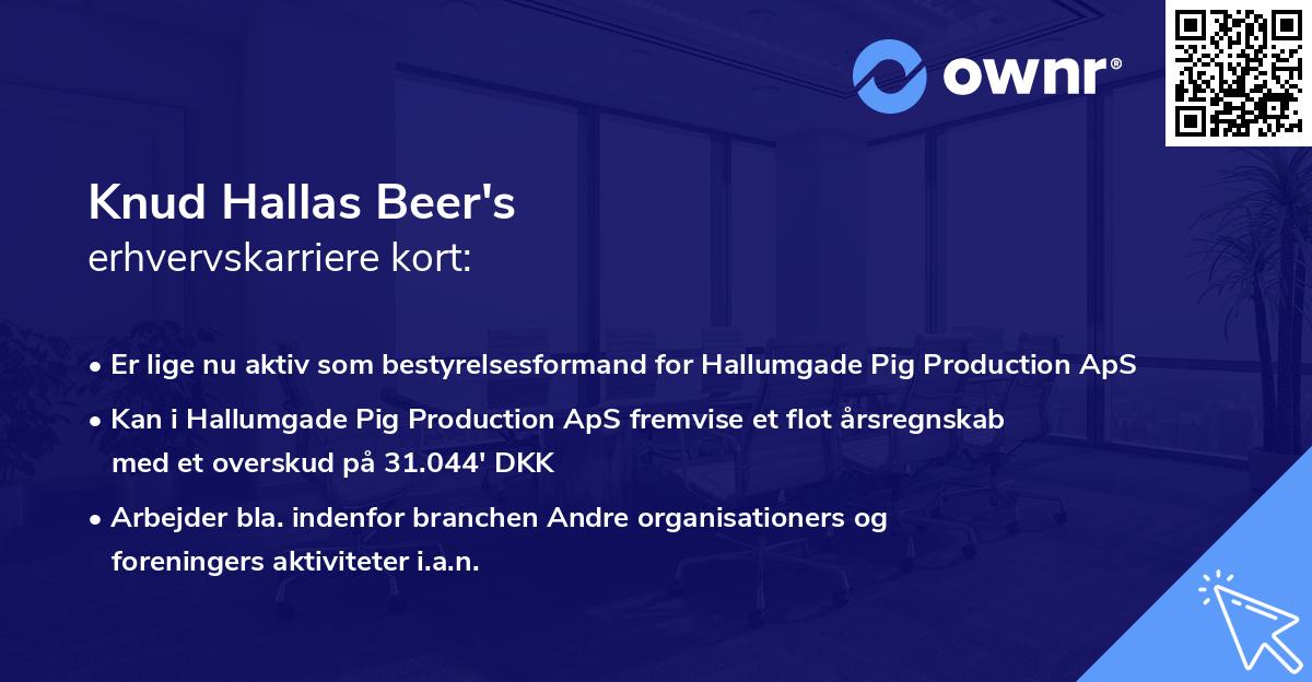 Knud Hallas Beer's erhvervskarriere kort