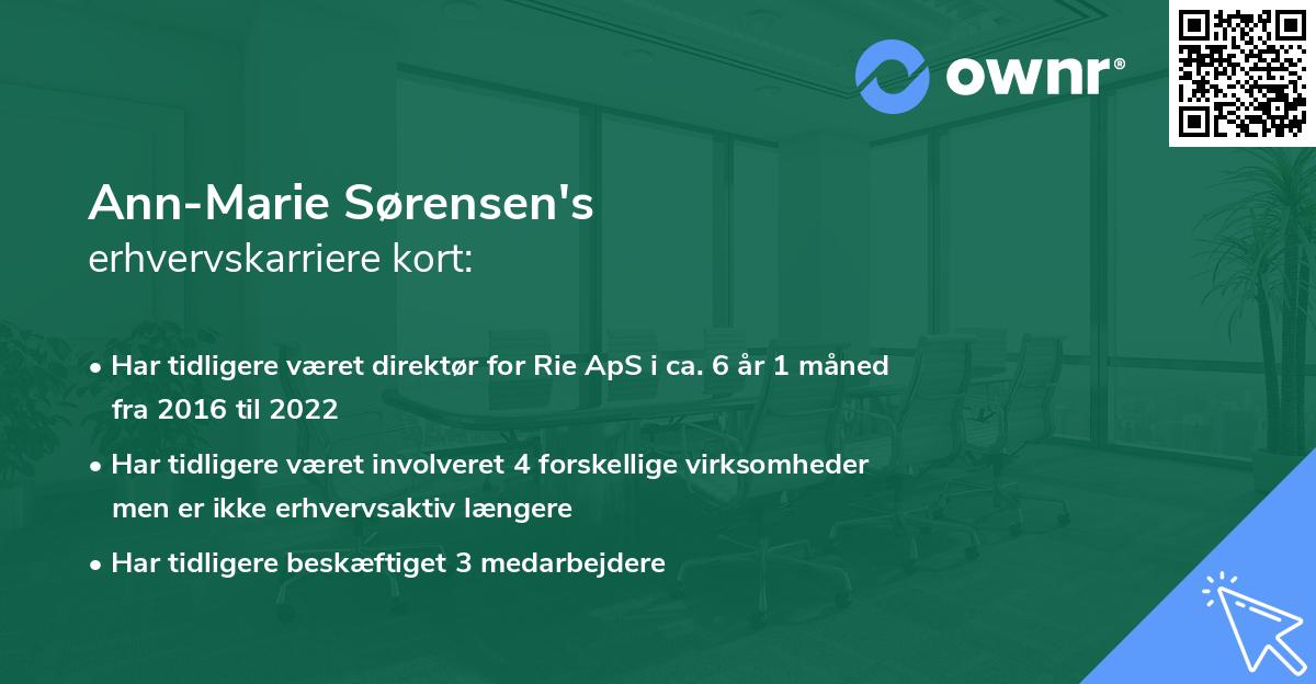 Ann-Marie Sørensen's erhvervskarriere kort