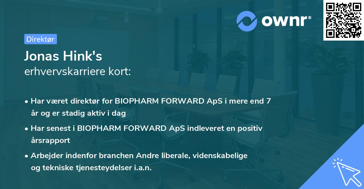 Jonas Hink's erhvervskarriere kort