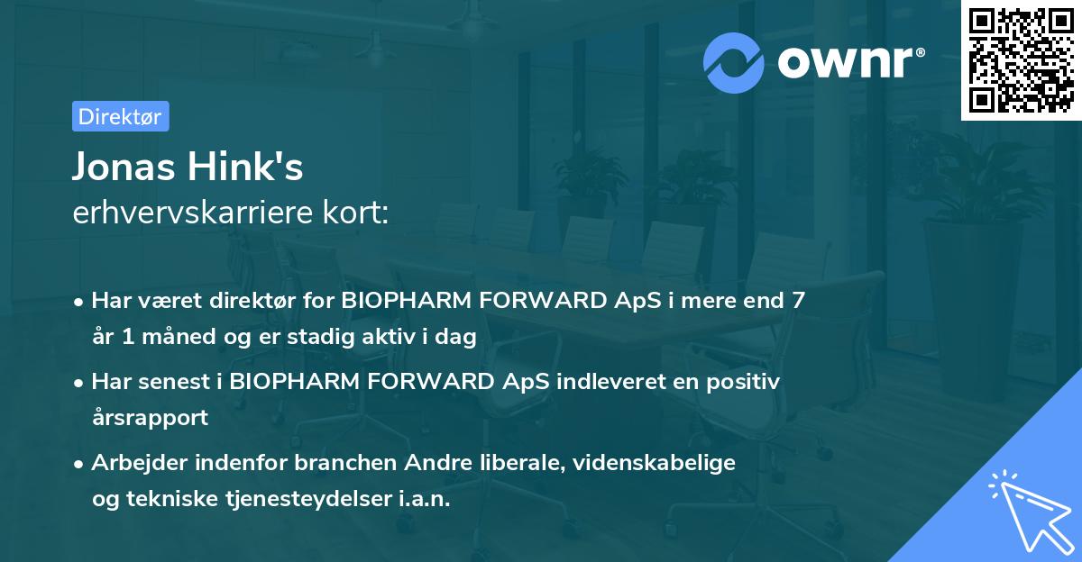 Jonas Hink's erhvervskarriere kort