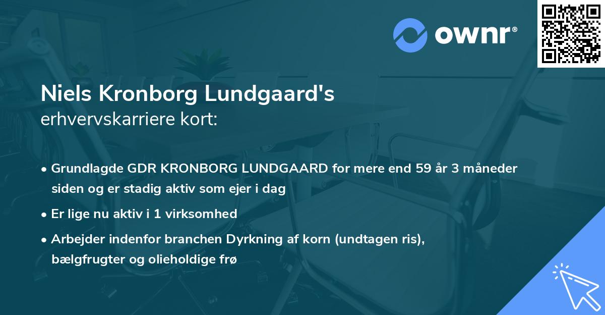 Niels Kronborg Lundgaard's erhvervskarriere kort