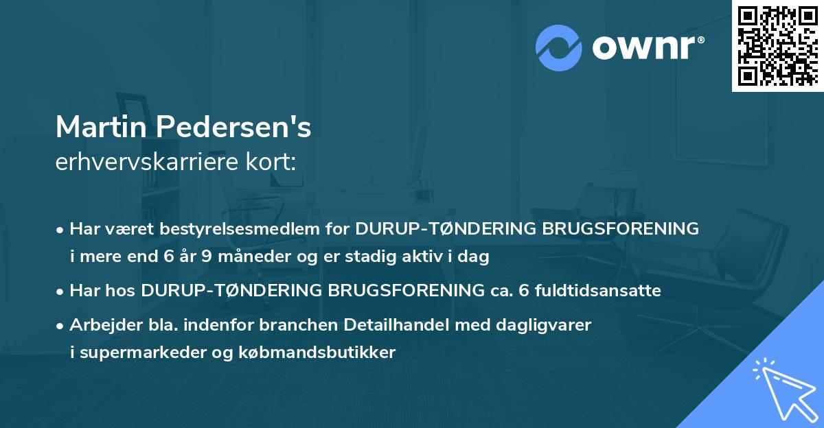 Martin Pedersen's erhvervskarriere kort