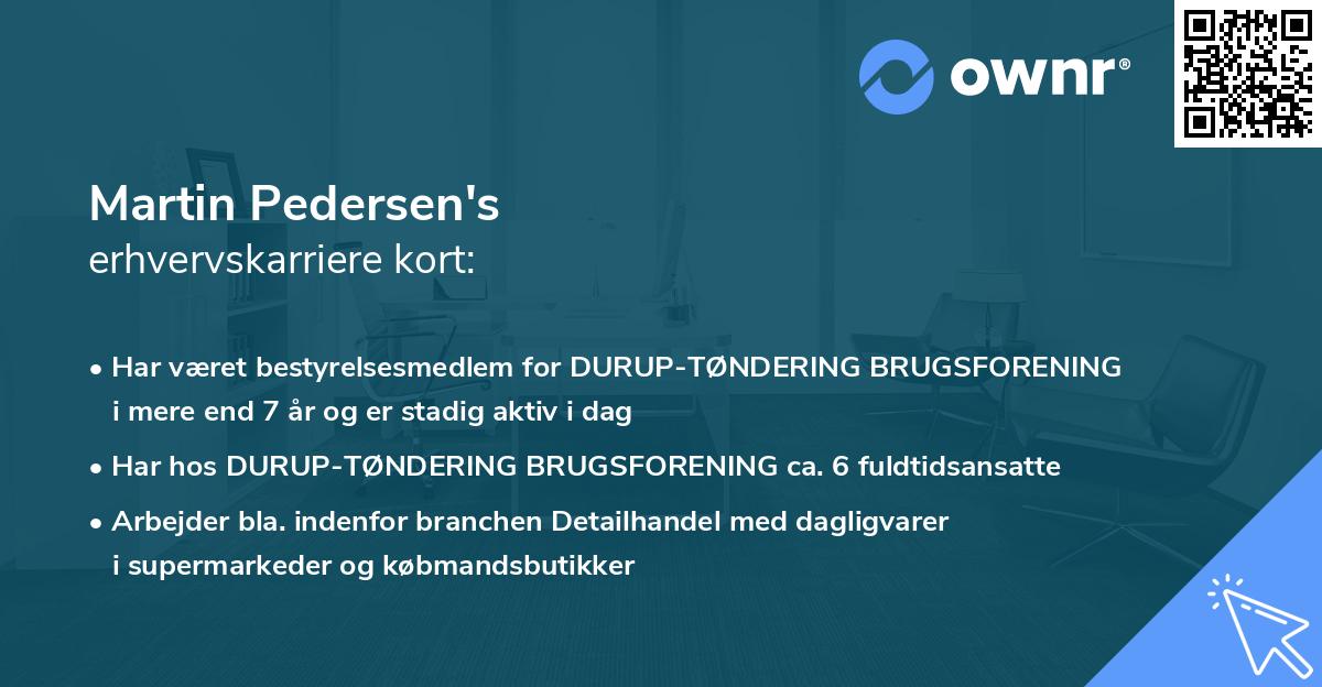 Martin Pedersen's erhvervskarriere kort