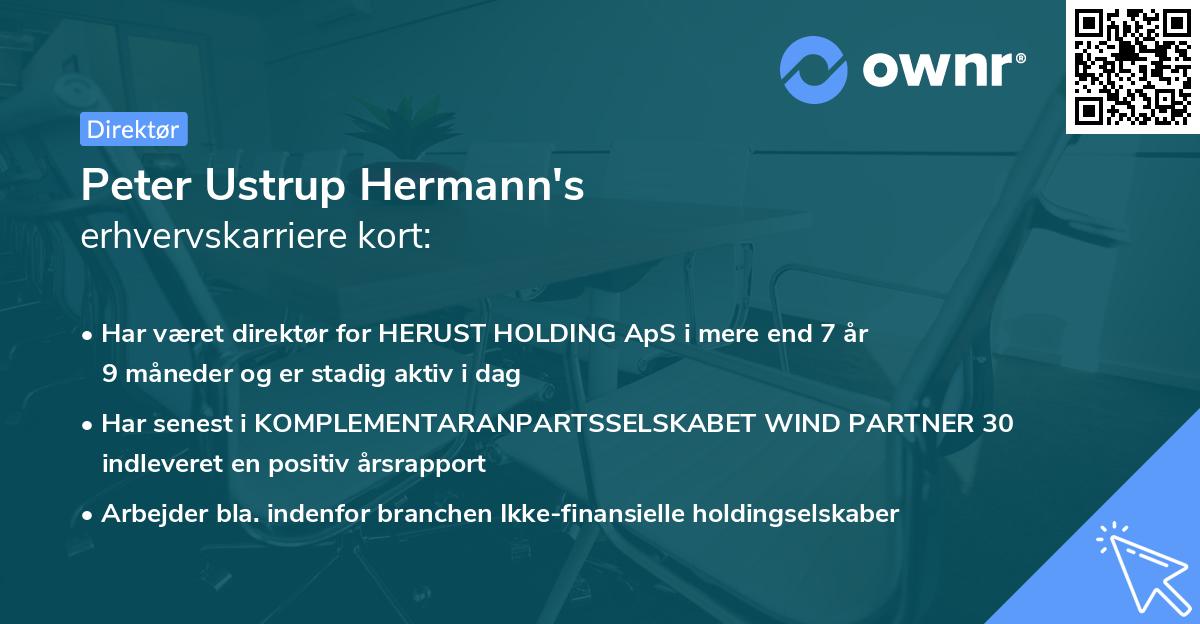 Peter Ustrup Hermann's erhvervskarriere kort