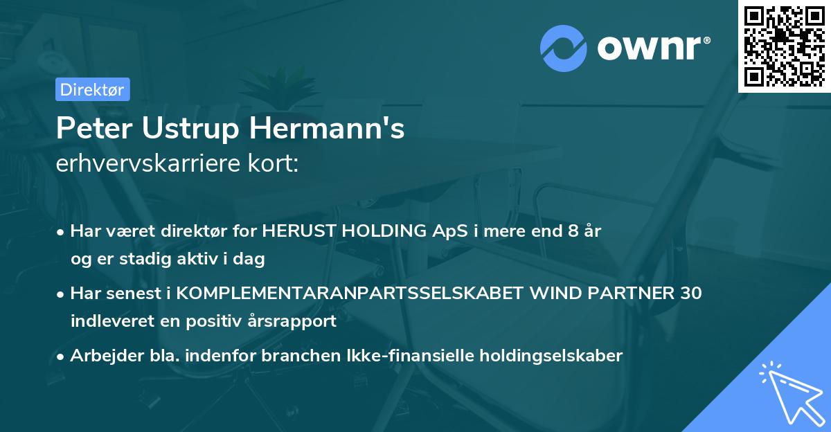 Peter Ustrup Hermann's erhvervskarriere kort