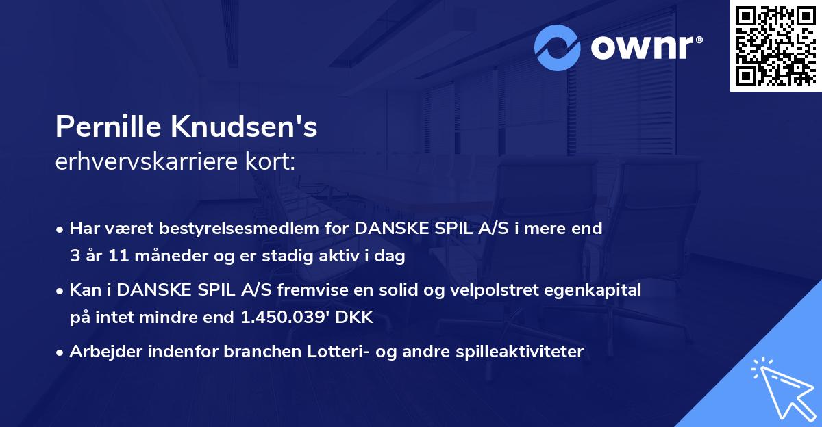 Pernille Knudsen's erhvervskarriere kort