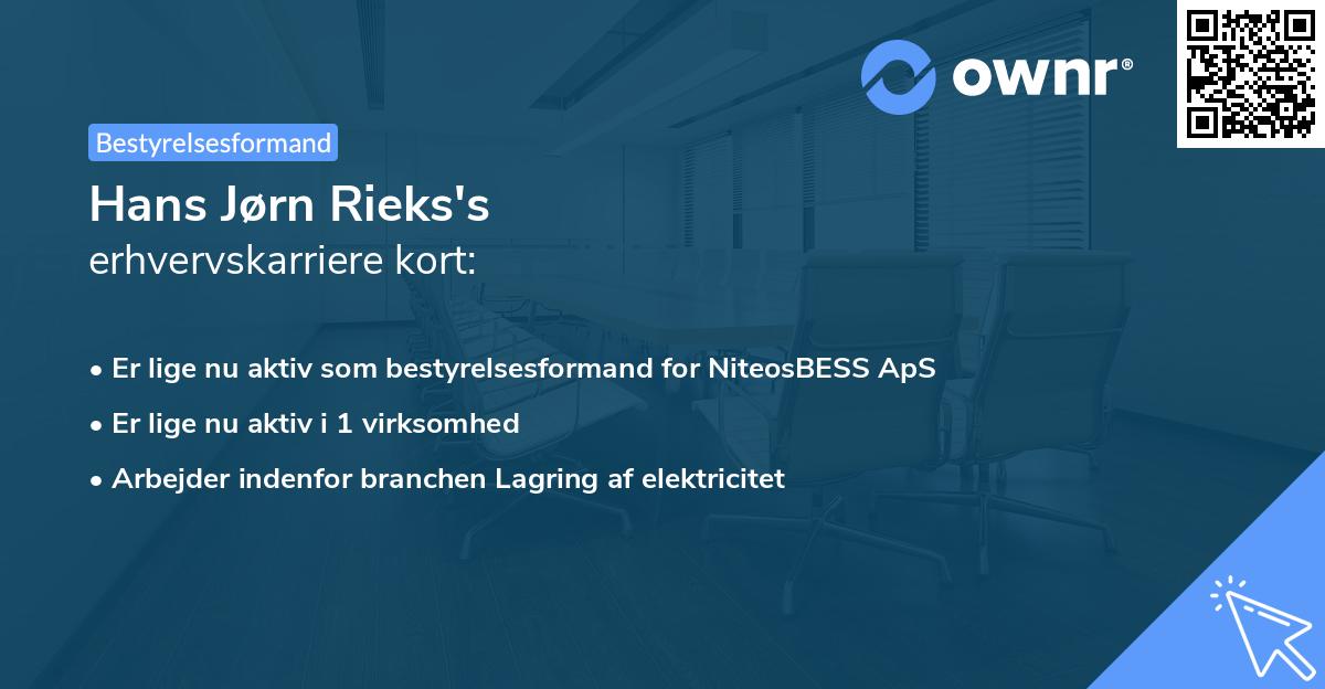 Hans Jørn Rieks's erhvervskarriere kort