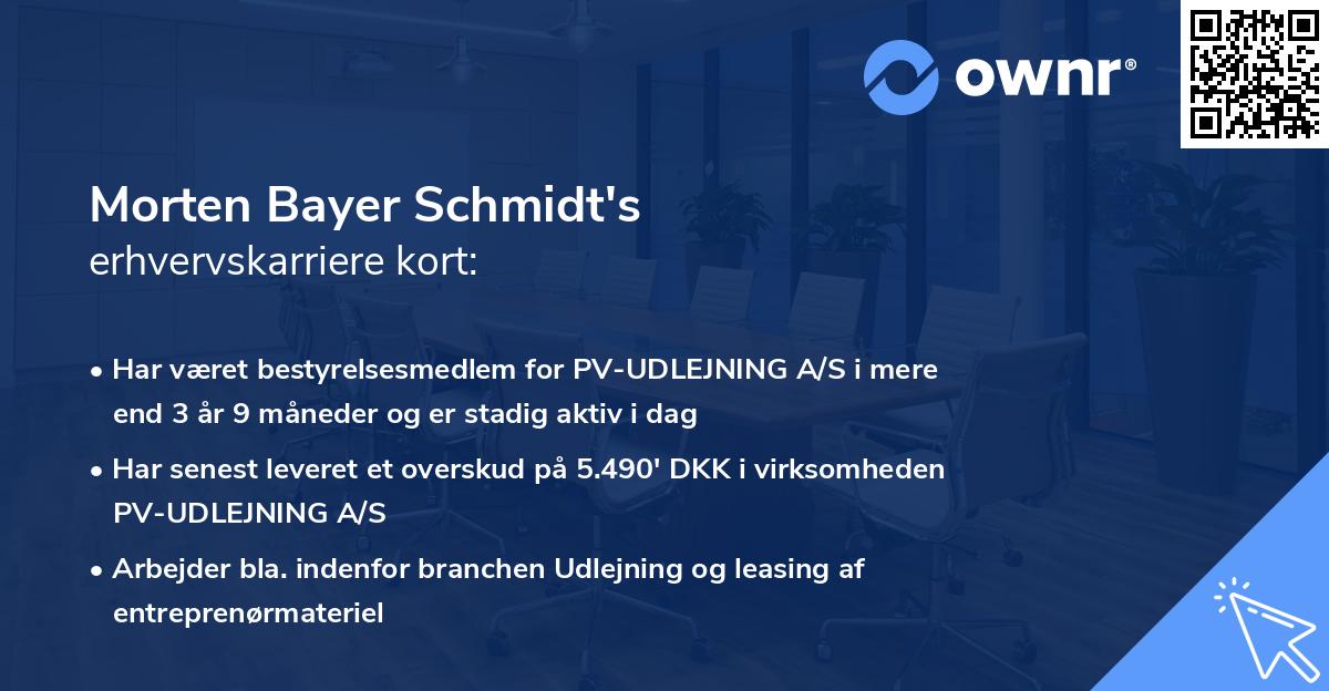 Morten Bayer Schmidt's erhvervskarriere kort