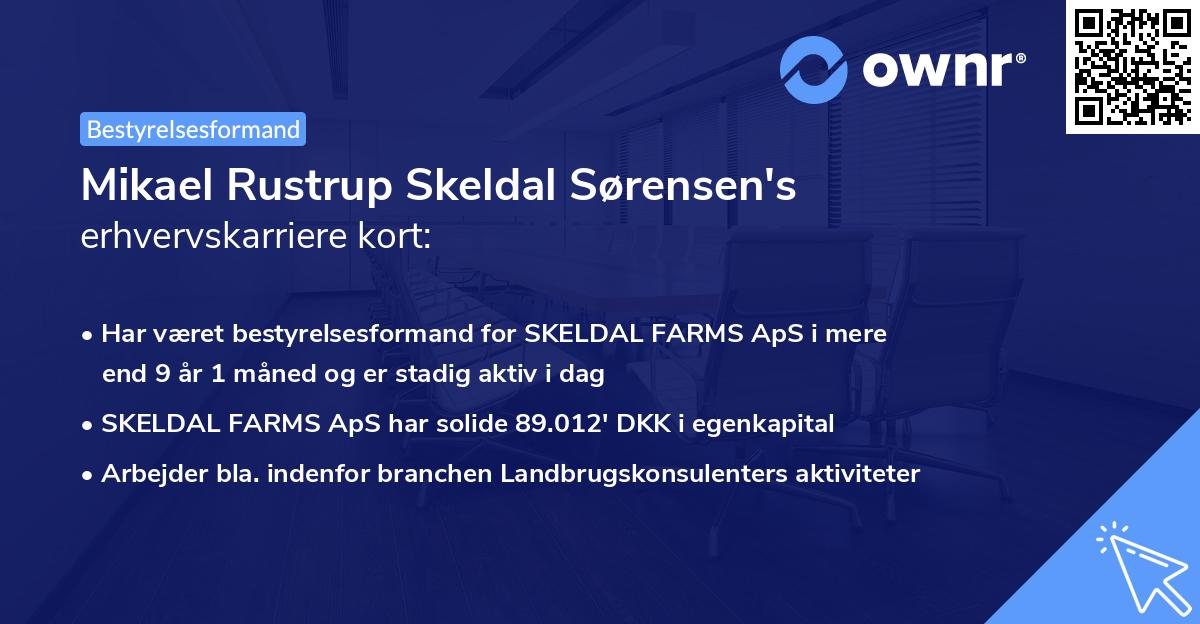 Mikael Rustrup Skeldal Sørensen's erhvervskarriere kort