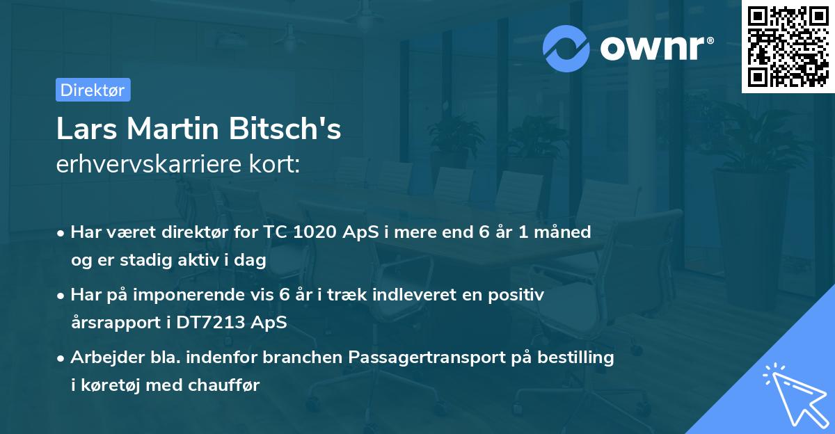 Lars Martin Bitsch's erhvervskarriere kort