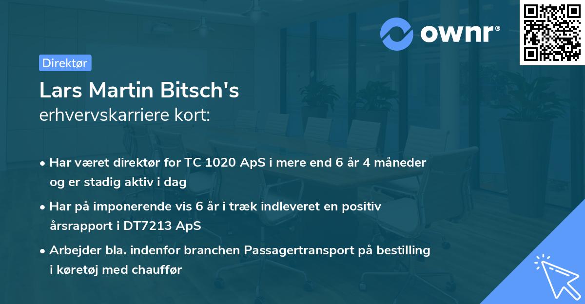 Lars Martin Bitsch's erhvervskarriere kort