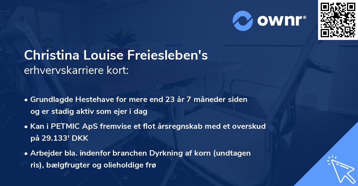 Christina Louise Freiesleben's erhvervskarriere kort