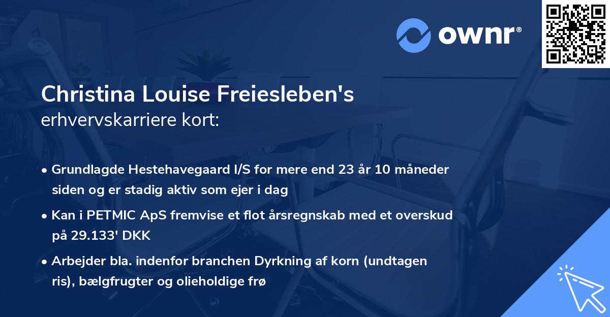 Christina Louise Freiesleben's erhvervskarriere kort