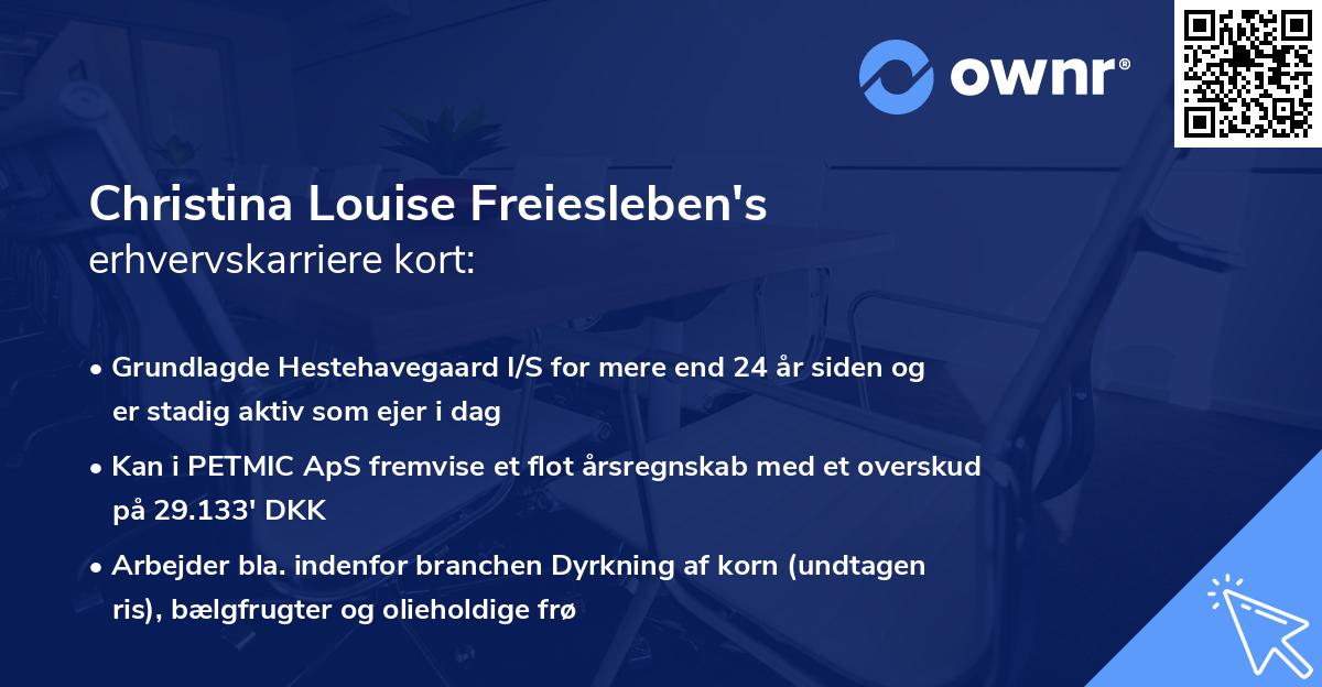 Christina Louise Freiesleben's erhvervskarriere kort