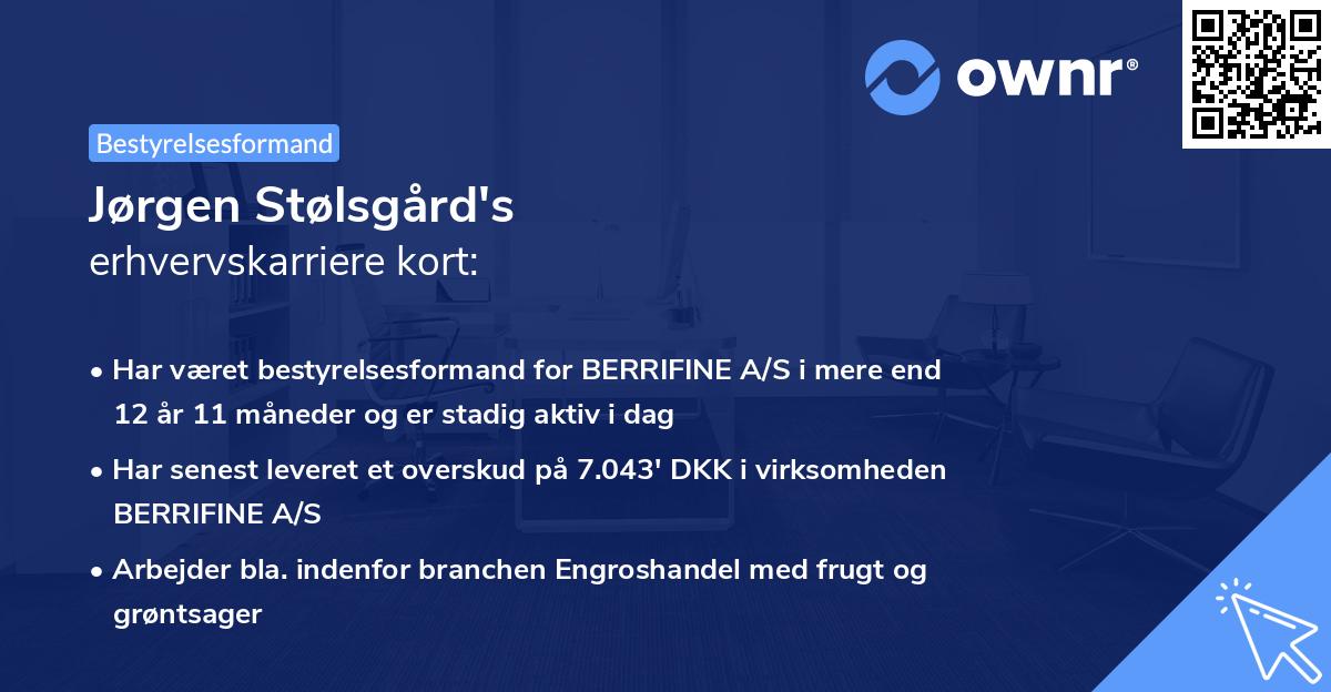 Jørgen Stølsgård's erhvervskarriere kort