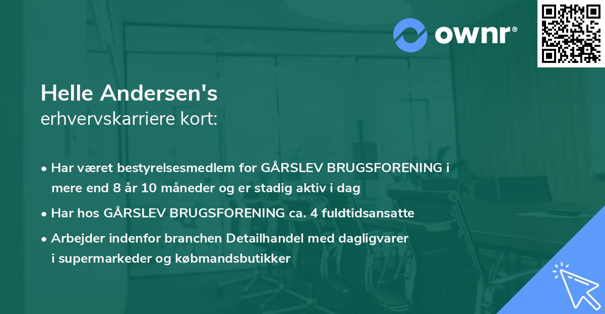 Helle Andersen's erhvervskarriere kort