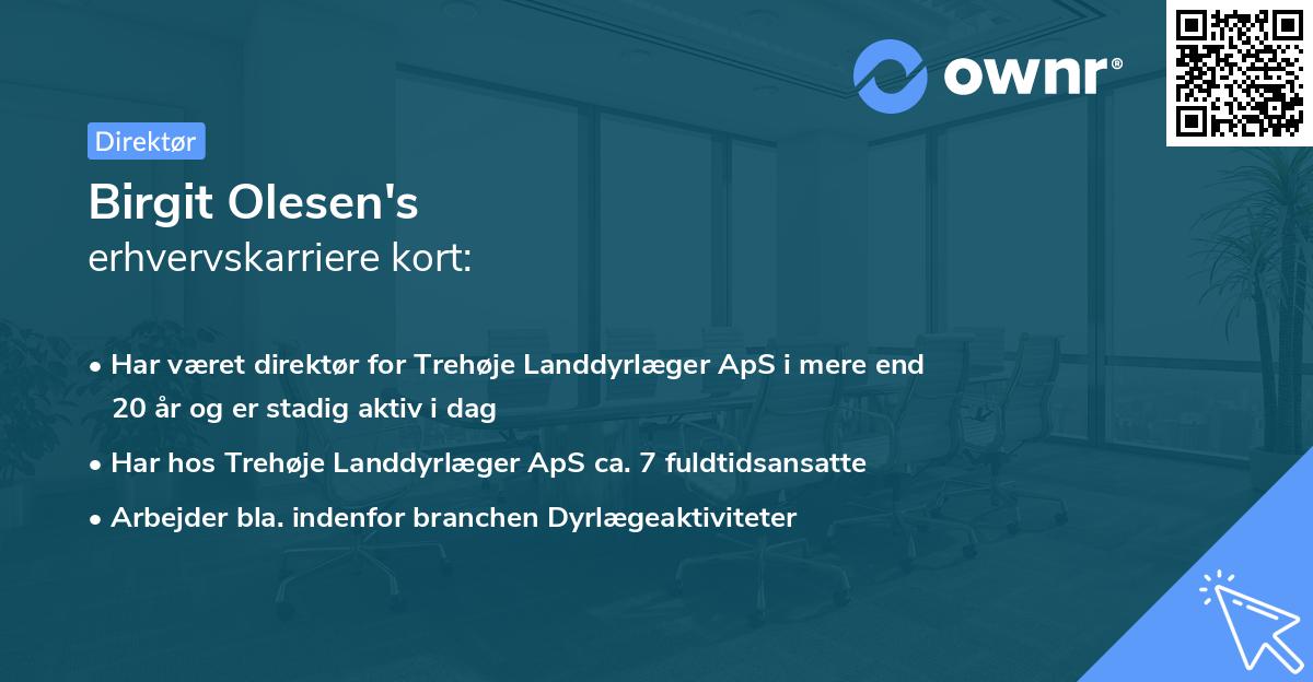 Birgit Olesen's erhvervskarriere kort