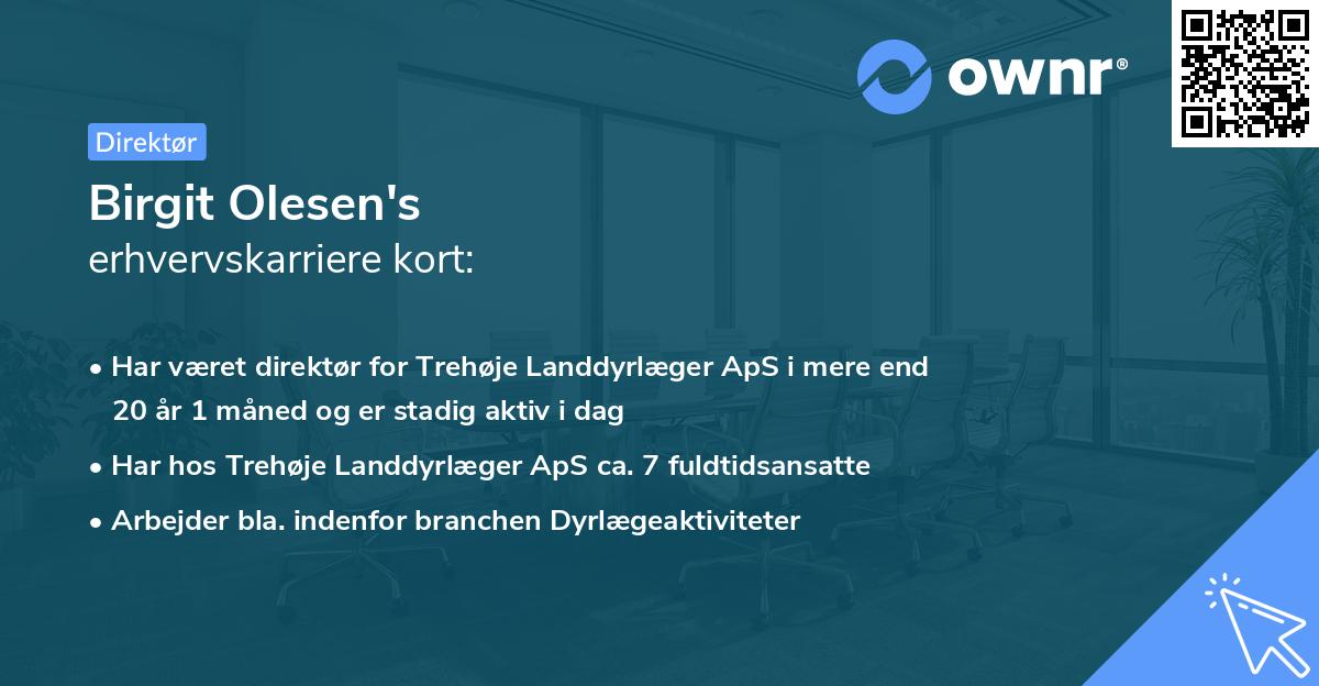Birgit Olesen's erhvervskarriere kort