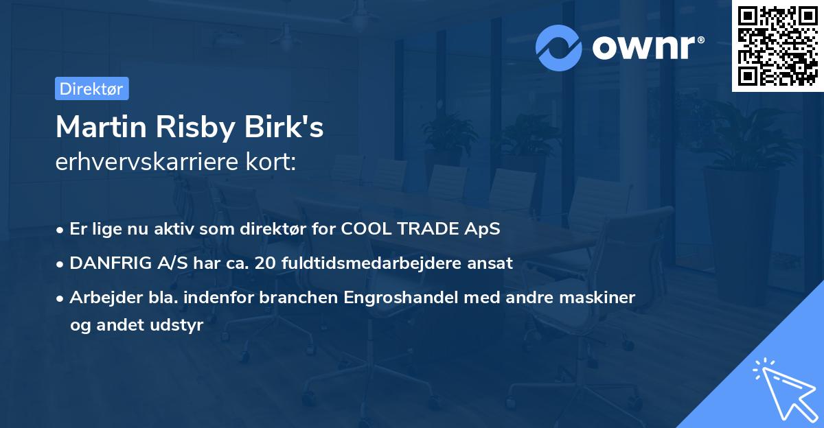 Martin Risby Birk's erhvervskarriere kort