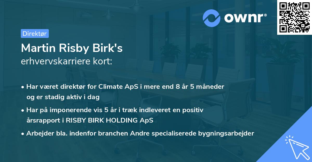 Martin Risby Birk's erhvervskarriere kort