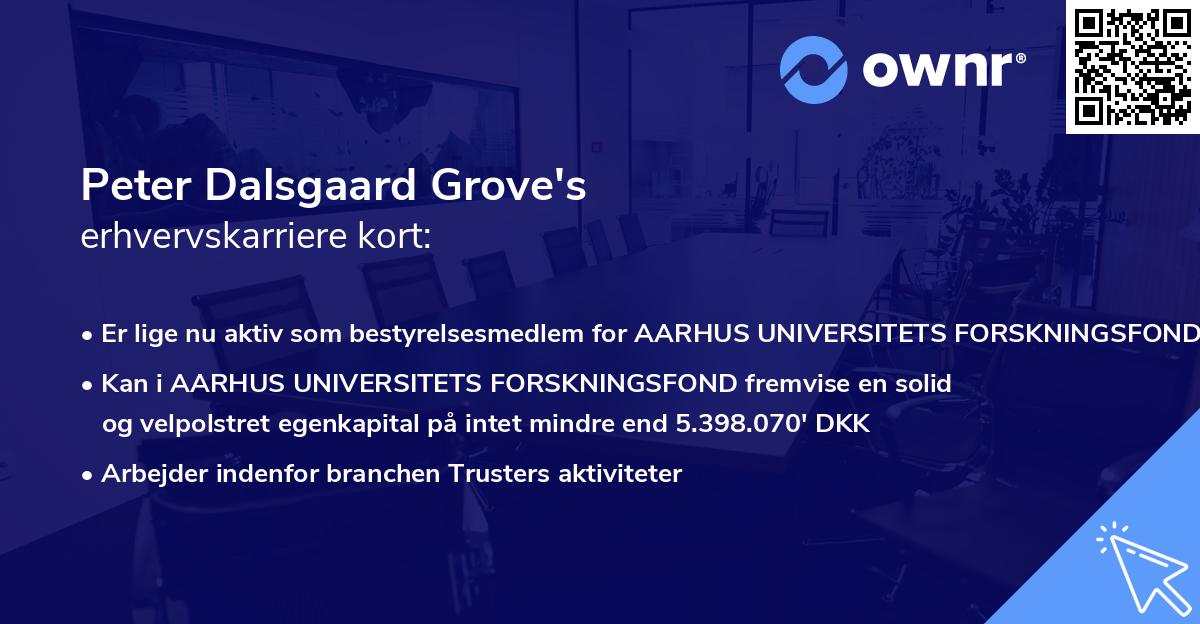 Peter Dalsgaard Grove's erhvervskarriere kort