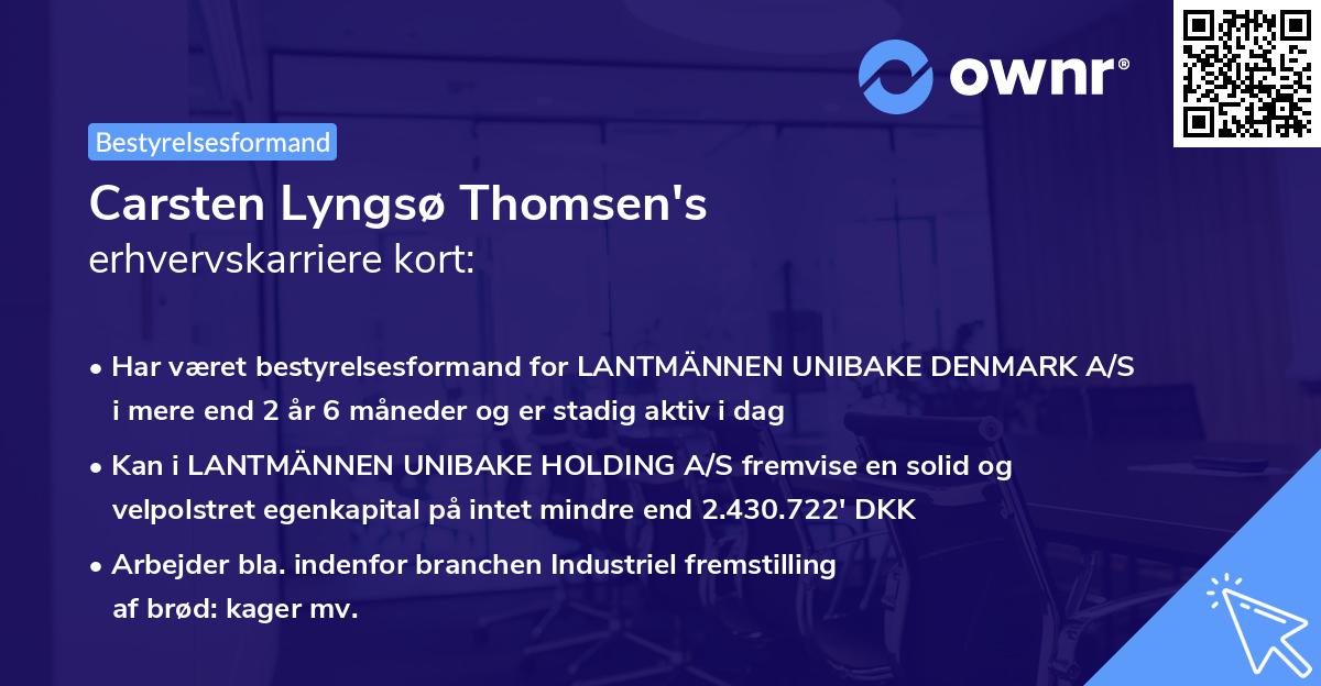 Carsten Lyngsø Thomsen's erhvervskarriere kort