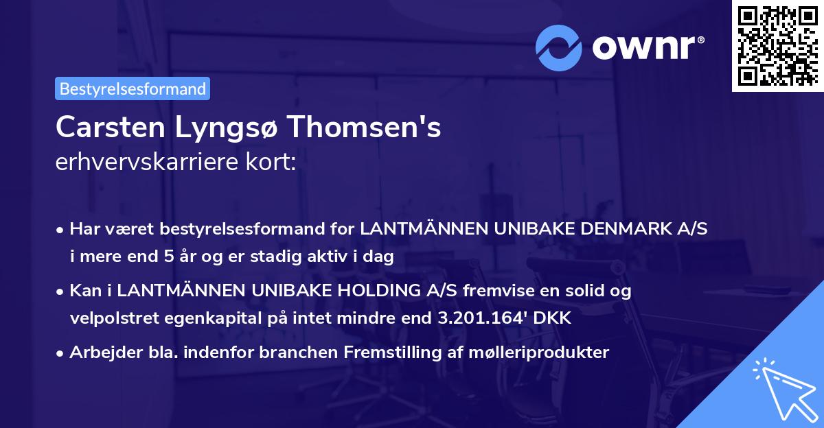 Carsten Lyngsø Thomsen's erhvervskarriere kort