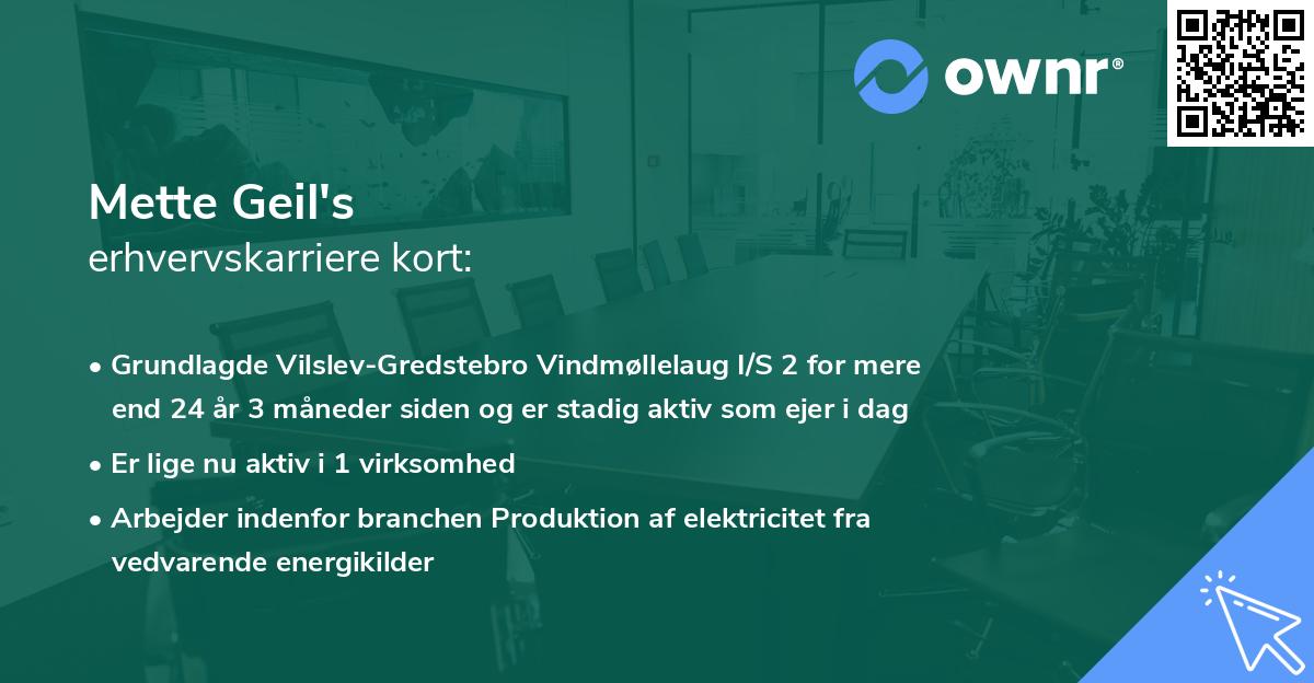 Mette Geil's erhvervskarriere kort
