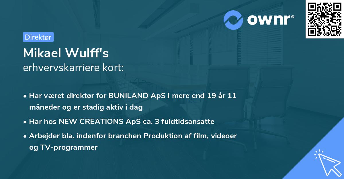 Mikael Wulff's erhvervskarriere kort