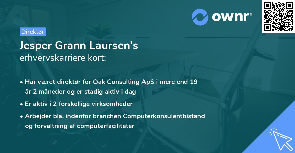 Jesper Grann Laursen's erhvervskarriere kort