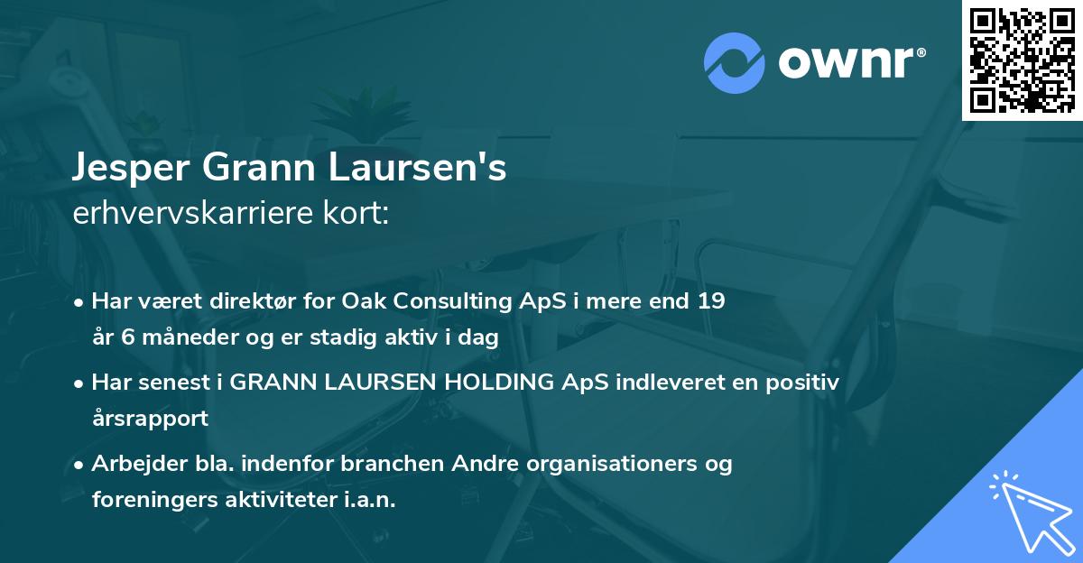 Jesper Grann Laursen's erhvervskarriere kort