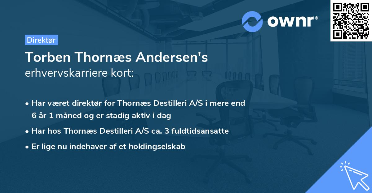 Torben Thornæs Andersen's erhvervskarriere kort