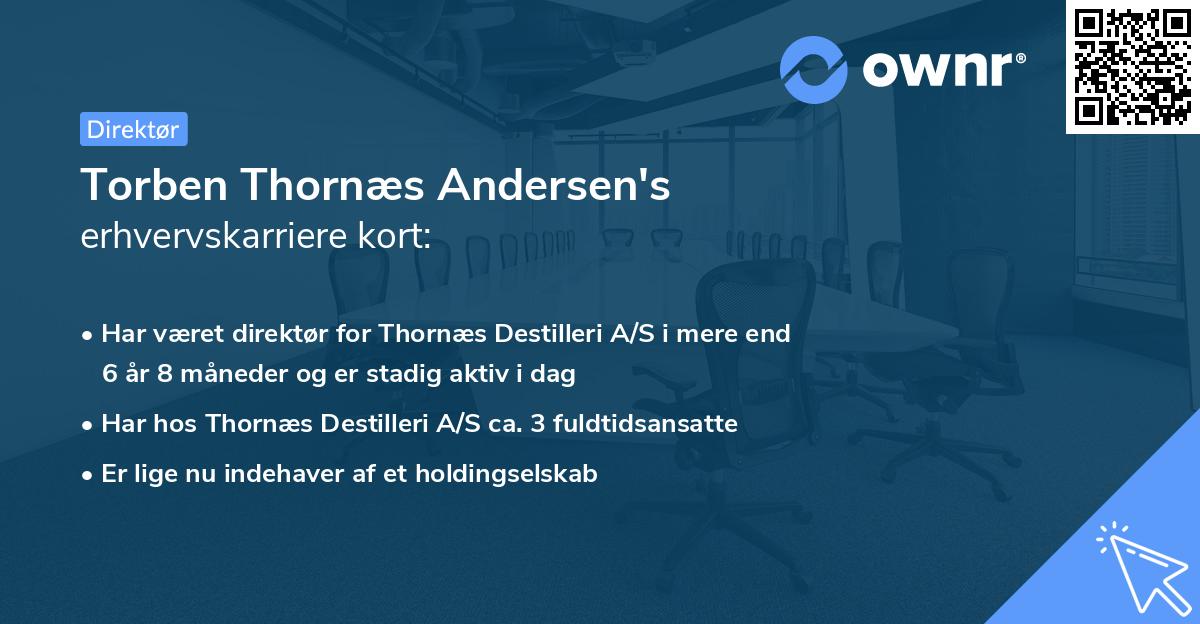 Torben Thornæs Andersen's erhvervskarriere kort