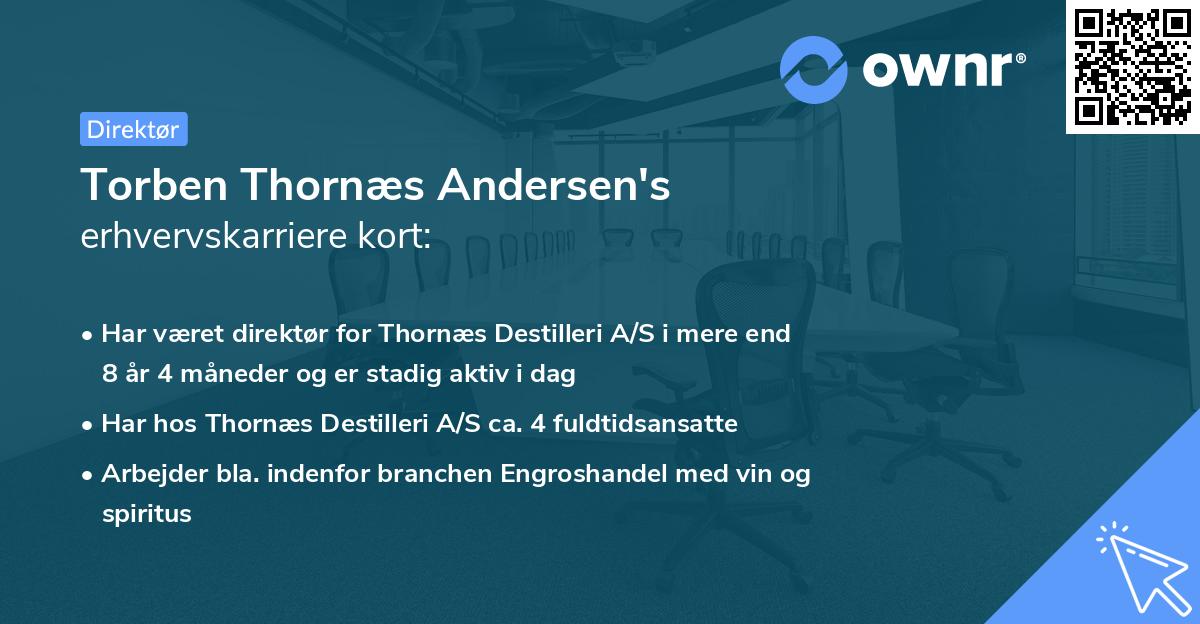 Torben Thornæs Andersen's erhvervskarriere kort
