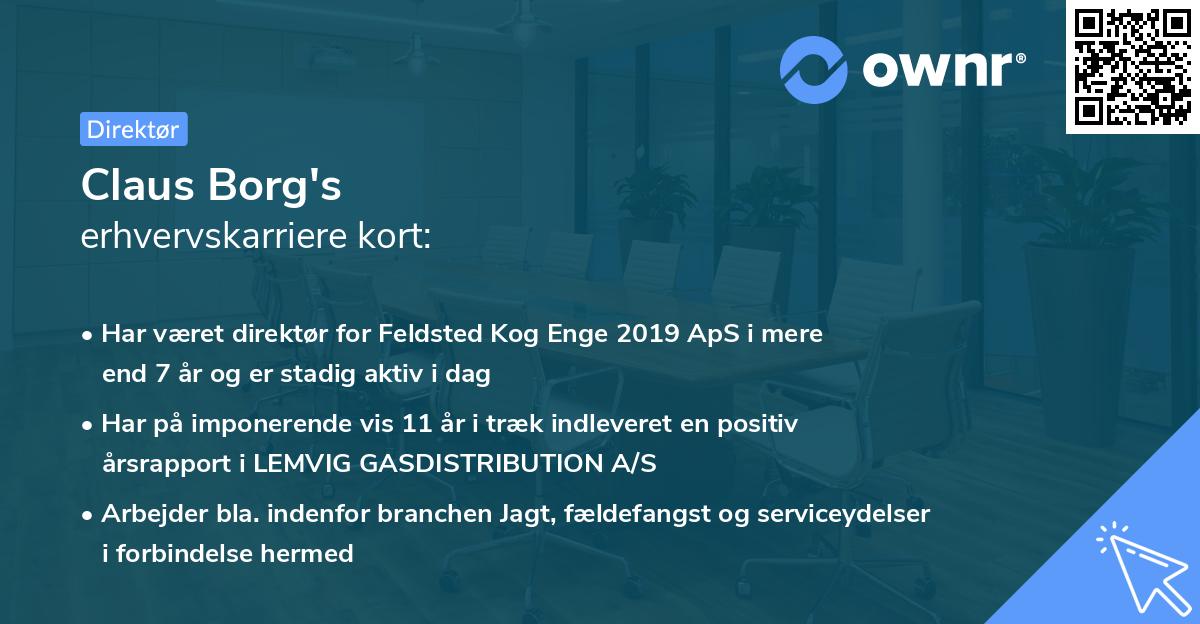 Claus Borg's erhvervskarriere kort