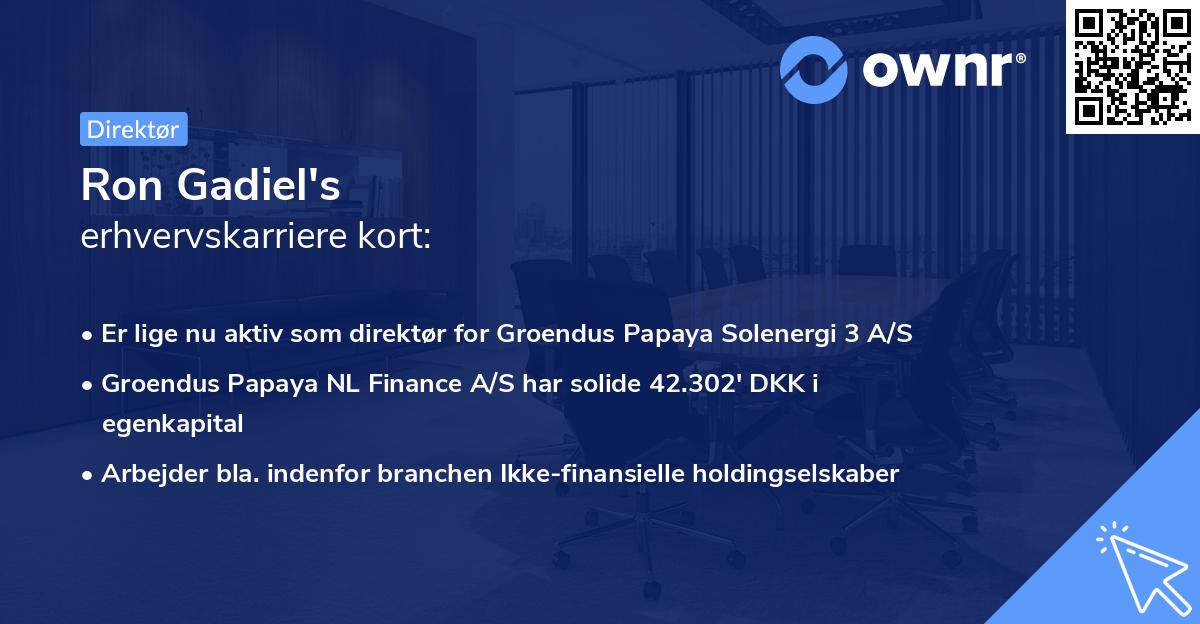 Ron Gadiel's erhvervskarriere kort