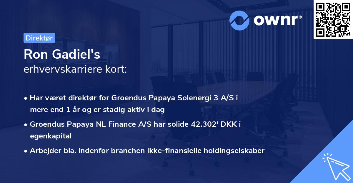 Ron Gadiel's erhvervskarriere kort