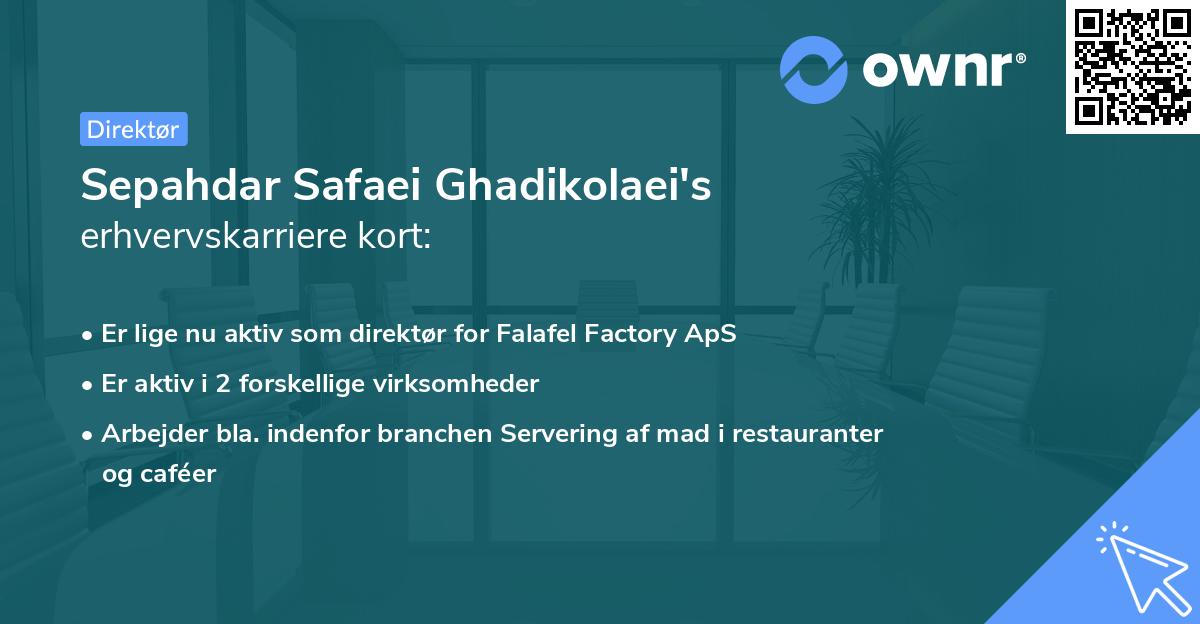 Sepahdar Safaei Ghadikolaei's erhvervskarriere kort