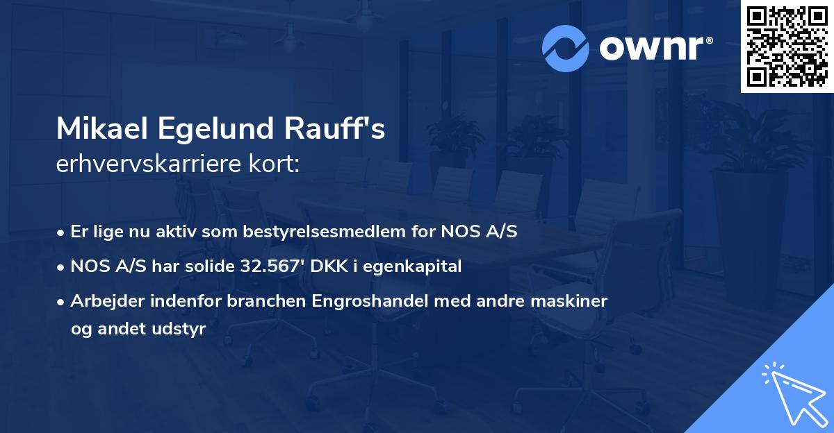 Mikael Egelund Rauff's erhvervskarriere kort