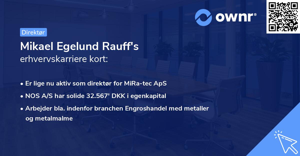 Mikael Egelund Rauff's erhvervskarriere kort