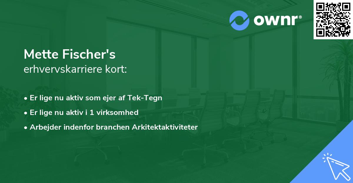 Mette Fischer's erhvervskarriere kort