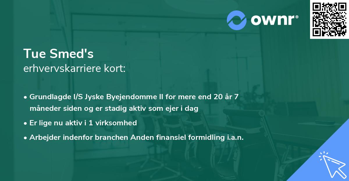 Tue Smed's erhvervskarriere kort