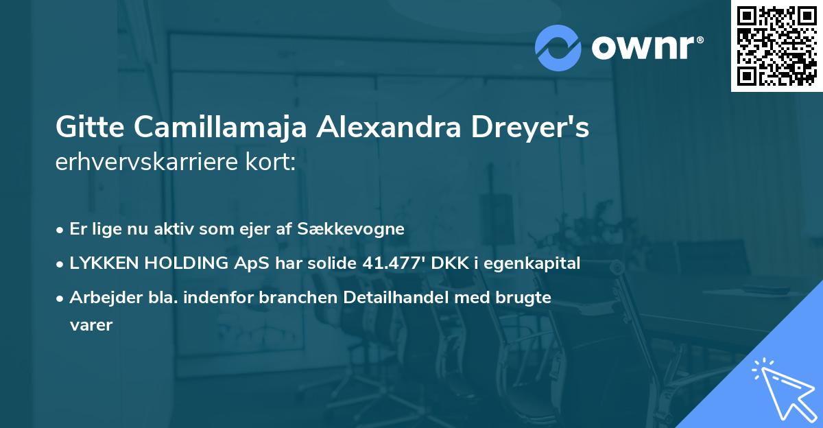 Gitte Camillamaja Alexandra Dreyer's erhvervskarriere kort