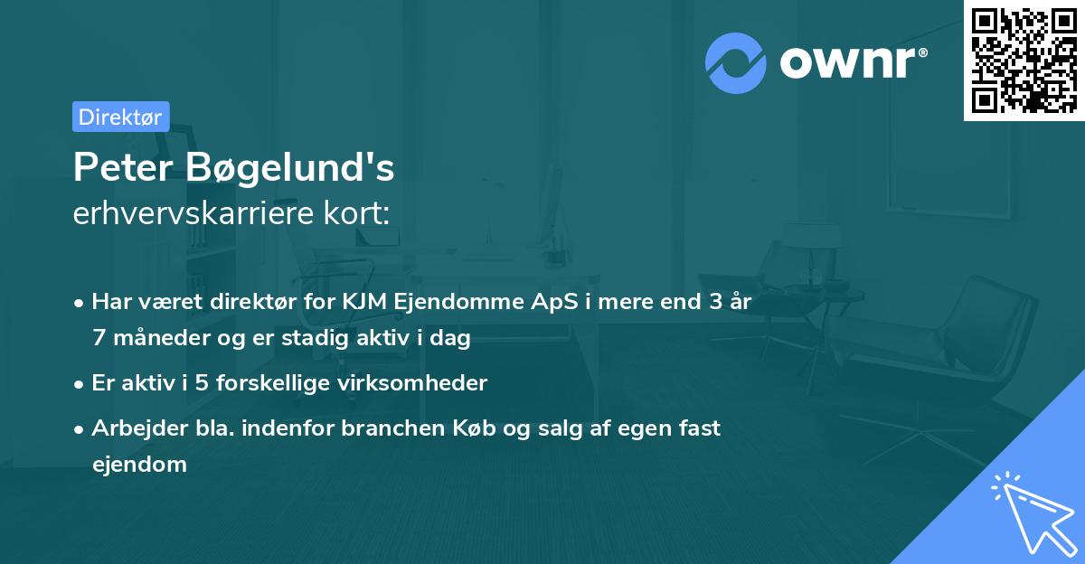 Peter Bøgelund's erhvervskarriere kort