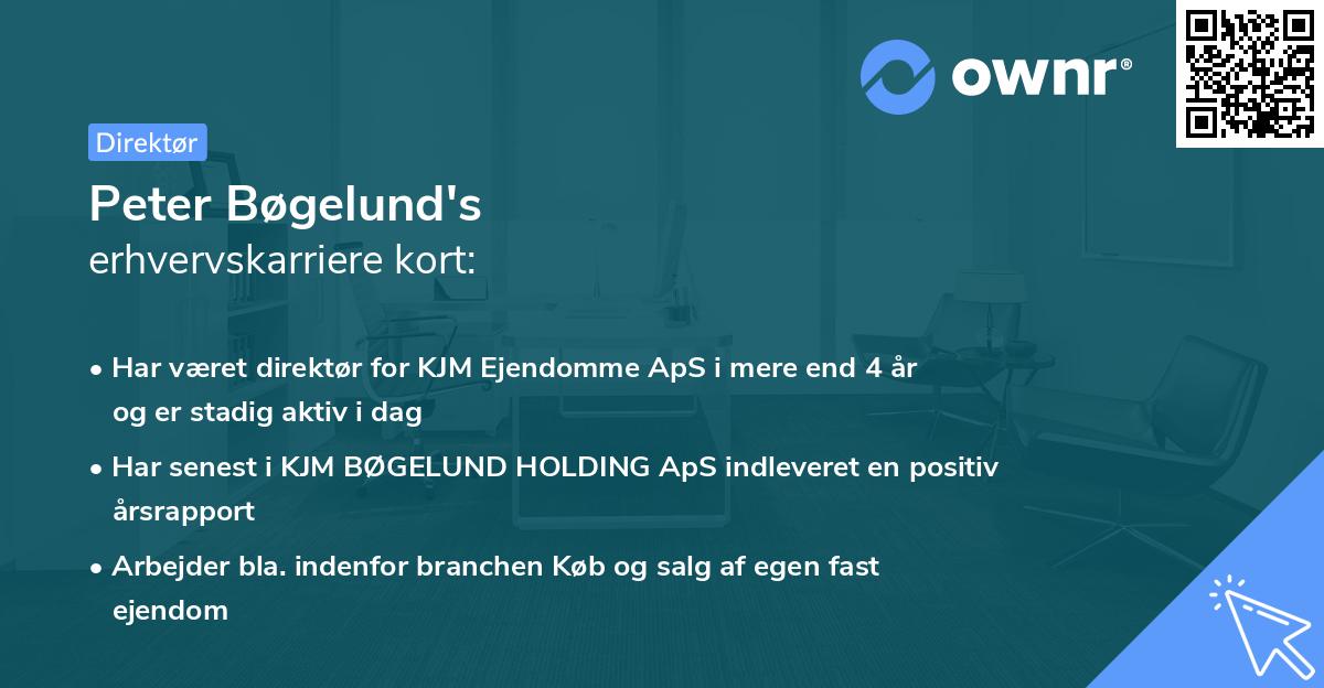 Peter Bøgelund's erhvervskarriere kort