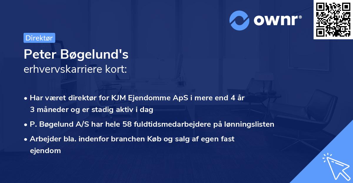 Peter Bøgelund's erhvervskarriere kort