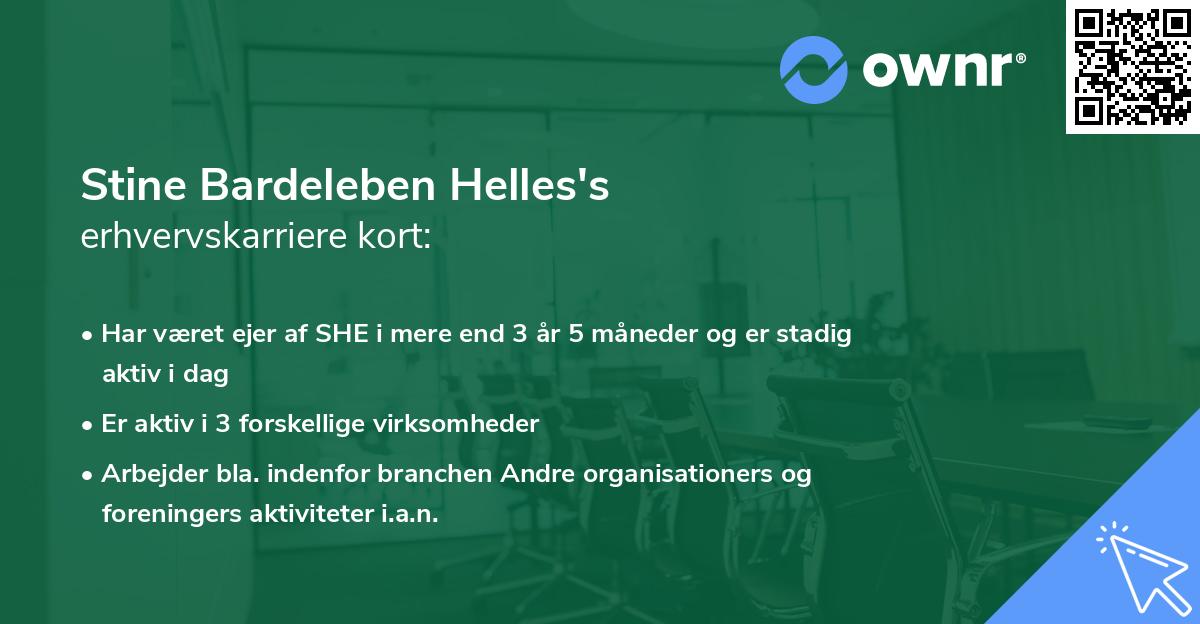 Stine Bardeleben Helles's erhvervskarriere kort